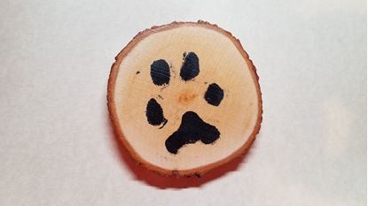 Picture of Paw Print Impression