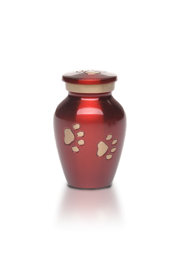 Picture of Classic Paw Red MEDIUM